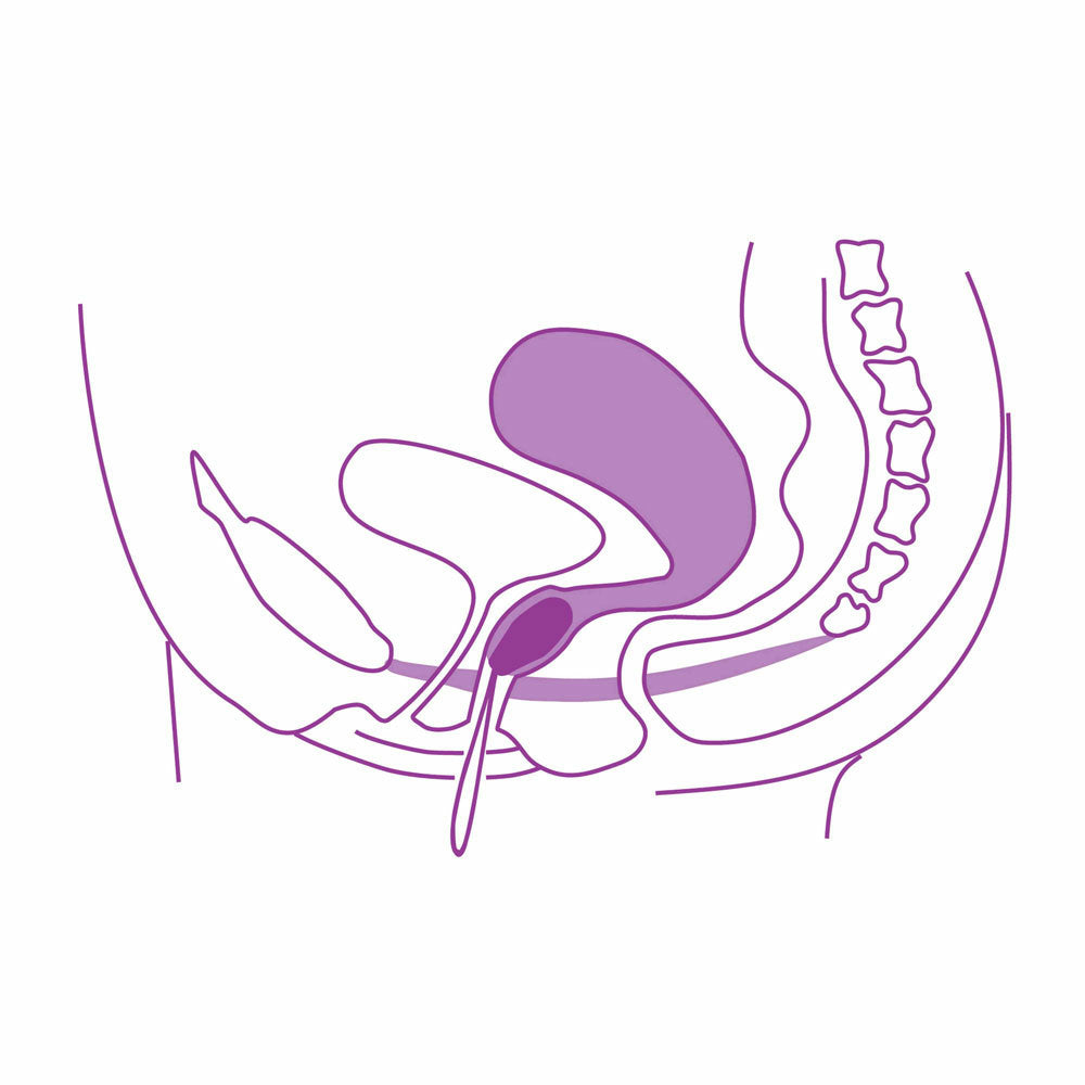 ELANEE Vaginaltrainingseinlage BECKENBODEN Phase II – Produktbild 5