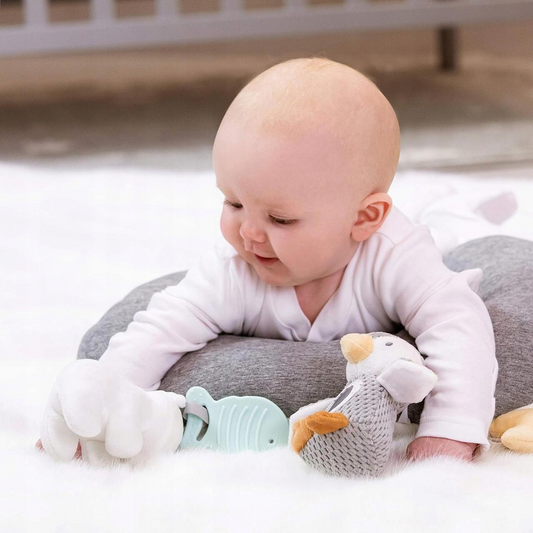 NUBY coussin de jeu pour le temps sur le ventre avec jouets