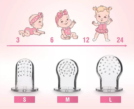 LUXIOR distributeur sucette pour fruits pour enfants 3-12 mois 2 pièces 6 embouts