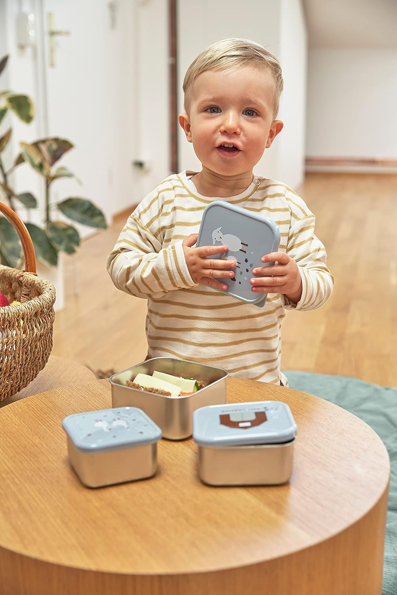 LASSIG Snackbox stalowe PUDEŁKA NA PRZEKĄSKI x3