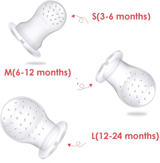NORDHAIN distributeur de tétine à fruits pour bébés 3-12m 2 pièces 6 embouts