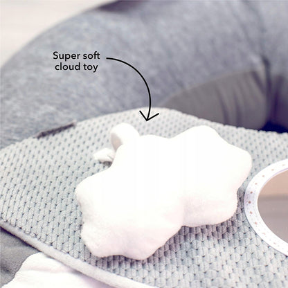NUBY Sit-Me-Up infant seat with penguin motif