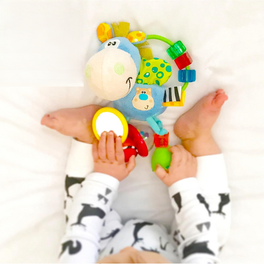 PLAYGRO Clip Clop jouet sensoriel avec hochet, miroir, poignée