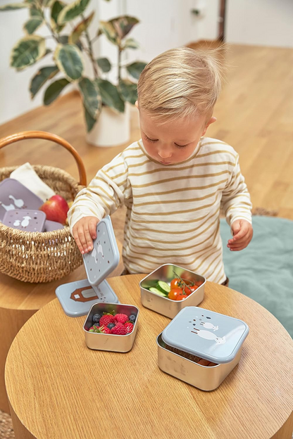 LASSIG Boîtes à snacks en acier INOX x3