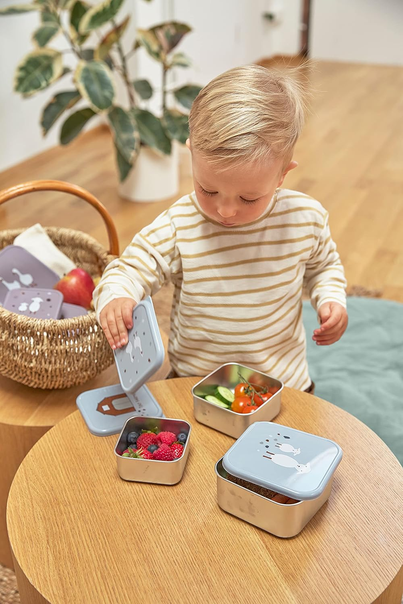 LASSIG Snackbox stalowe PUDEŁKA NA PRZEKĄSKI x3