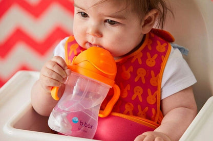 B.BOX Sippy Cup kubek niekapek 240 ml 6 m+
