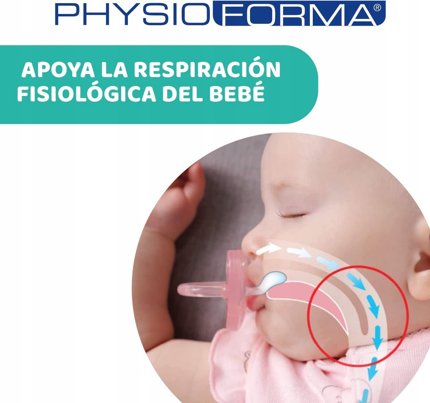 CHICCO PhysioForma SOFT Schnuller x2 6–16 Monate – Produktfoto 3