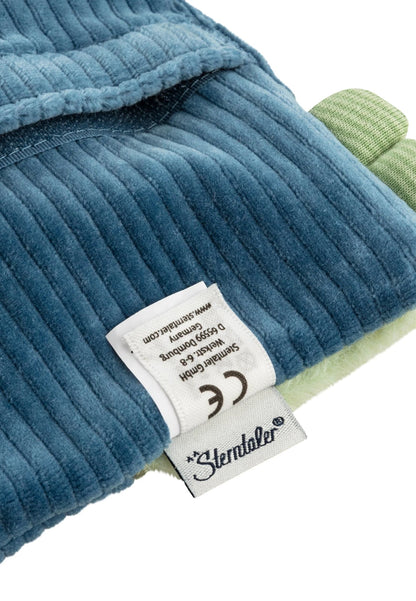 Sterntaler Dino Rexi coussin garni d’avoine bleu 17x17cm