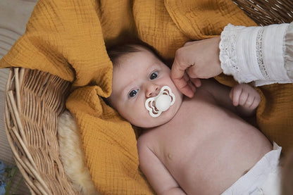 BIBS TRY-IT set of four pacifiers