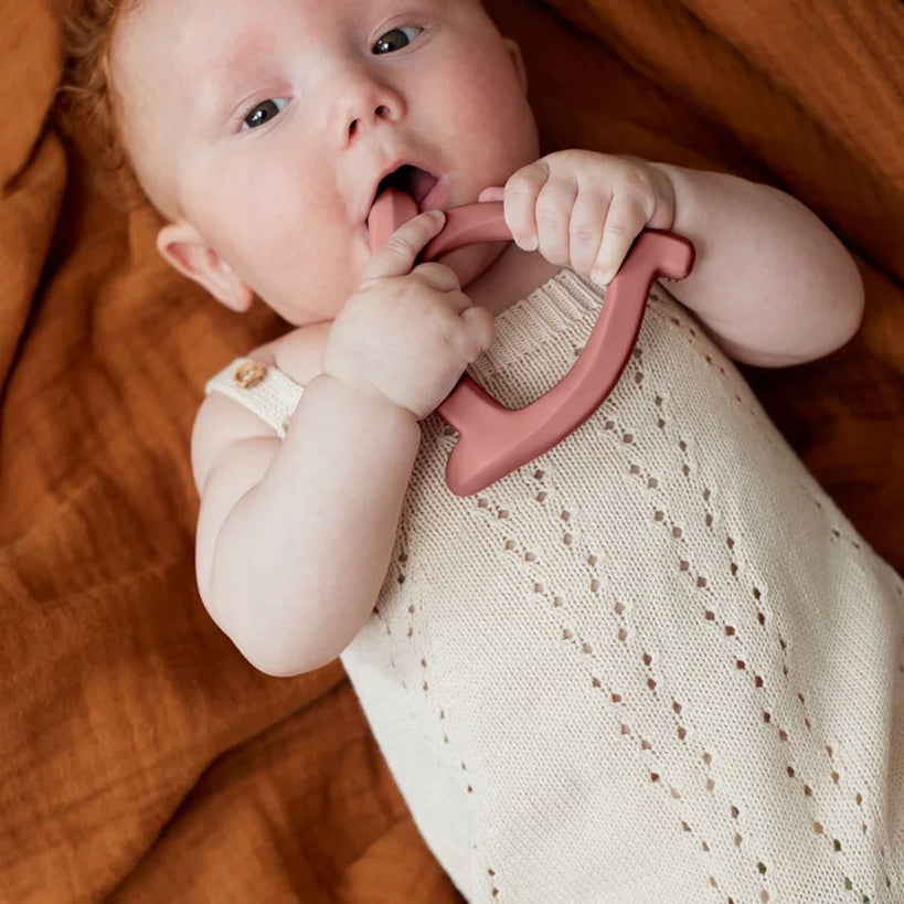 EVERYDAY BABY anneau de dentition en silicone 9,5 x 9,5 cm