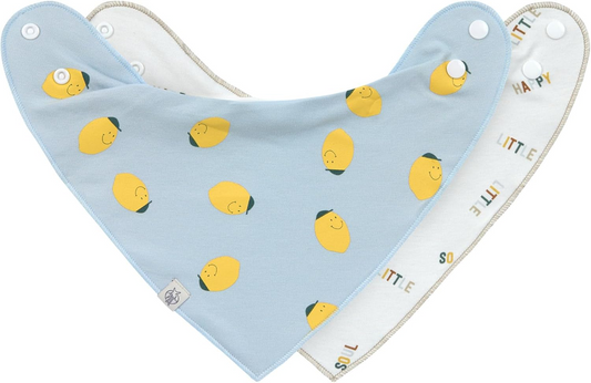 LASSIG bandana bavoir x2 0-24mois