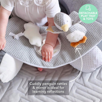 NUBY Sit-Me-Up infant seat with penguin motif