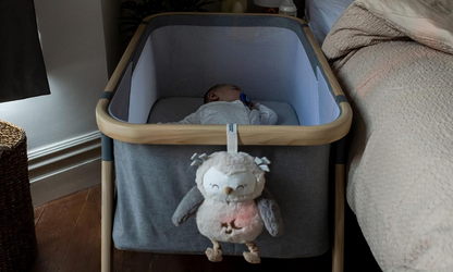 TOMMEE TIPPEE Eule Ollie Deluxe Kuscheltier-Lampe mit Geräuschen – Produktfoto 5