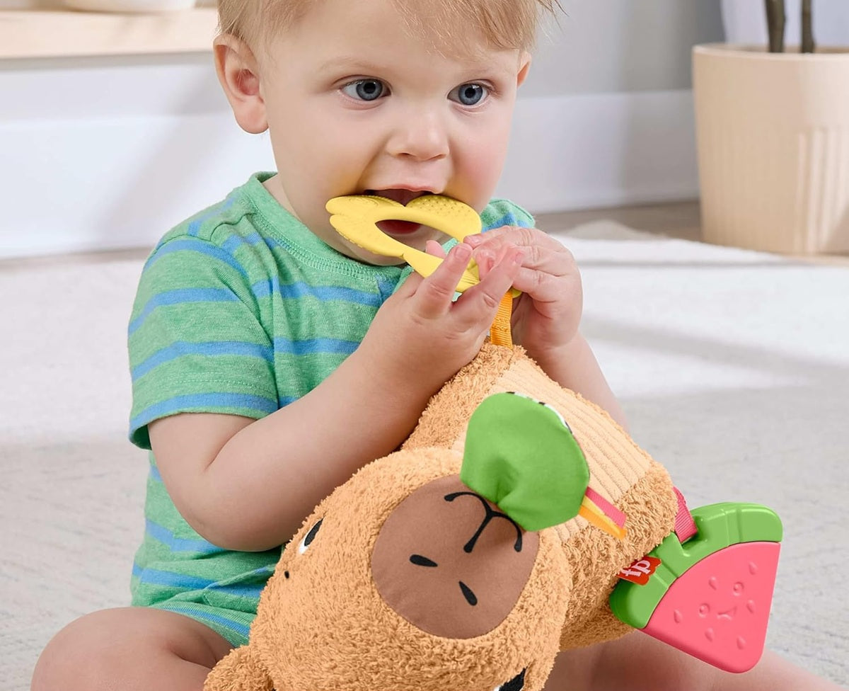 FISHER-PRICE capybara sensorielle en peluche avec anneau de dentition et hochet 23,5 cm