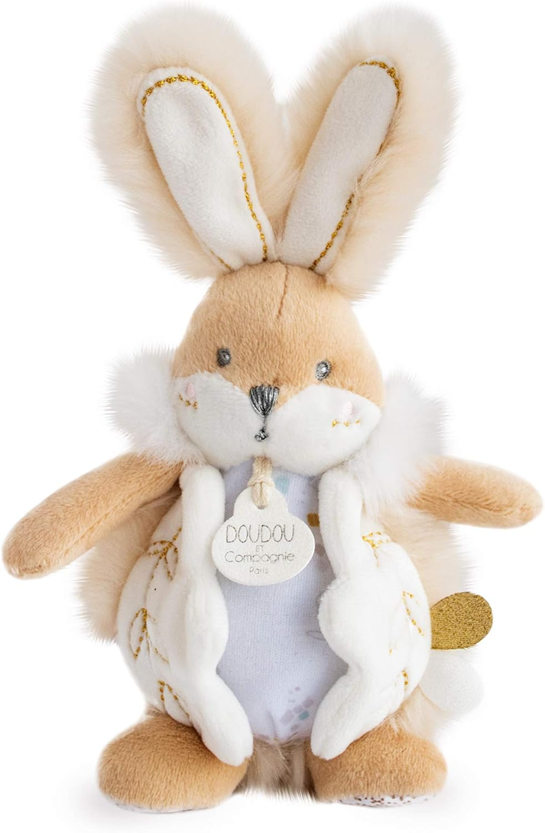 DOUDOU et Compagnie LAPIN peluche 20 cm + pochette en peluche pour livre
