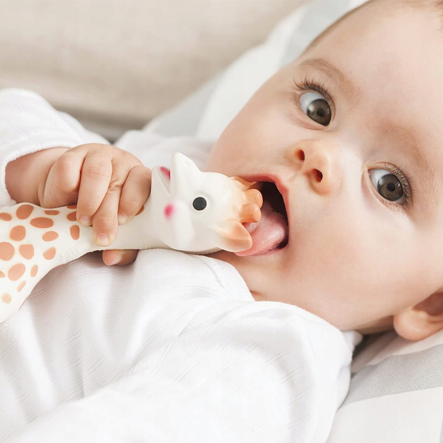 ŻYRAFA SOPHIE zestaw gryzak naturalny SO PURE 18CM + mniejszy – zdjęcie produktu 4