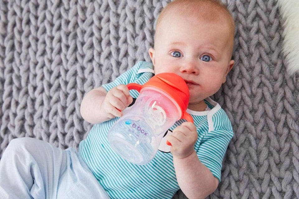 B.BOX Sippy Cup kubek niekapek 240 ml 6 m+