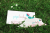 8f3f21dc14589cfd9aa6f76e420b3cfa.png