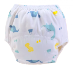 Qianquhui Culotte d’apprentissage pour enfants dinosaure taille 90
