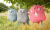0df12c272f0d06764f36b77370a46f7f.png