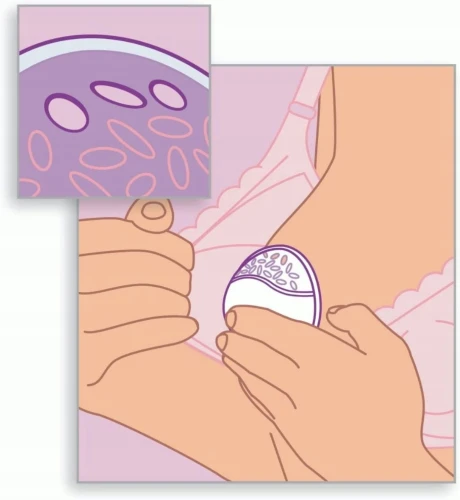 PHILIPS AVENT coquilles d’allaitement protectrices
